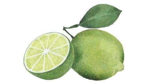 Lime Oil