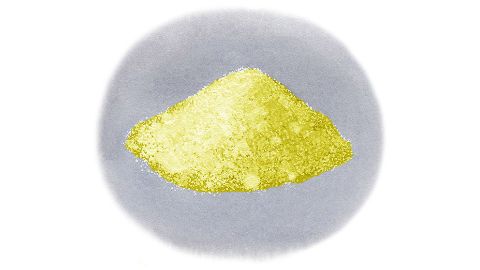 Hydrolyzed Cicer Seed Extract