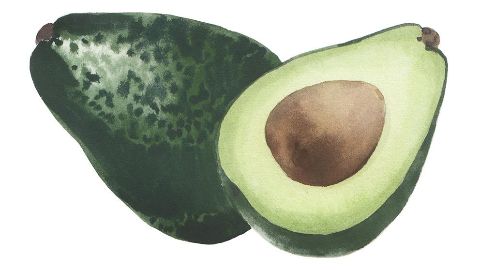 Avocado Oil
