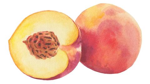 Peach Kernel Oil